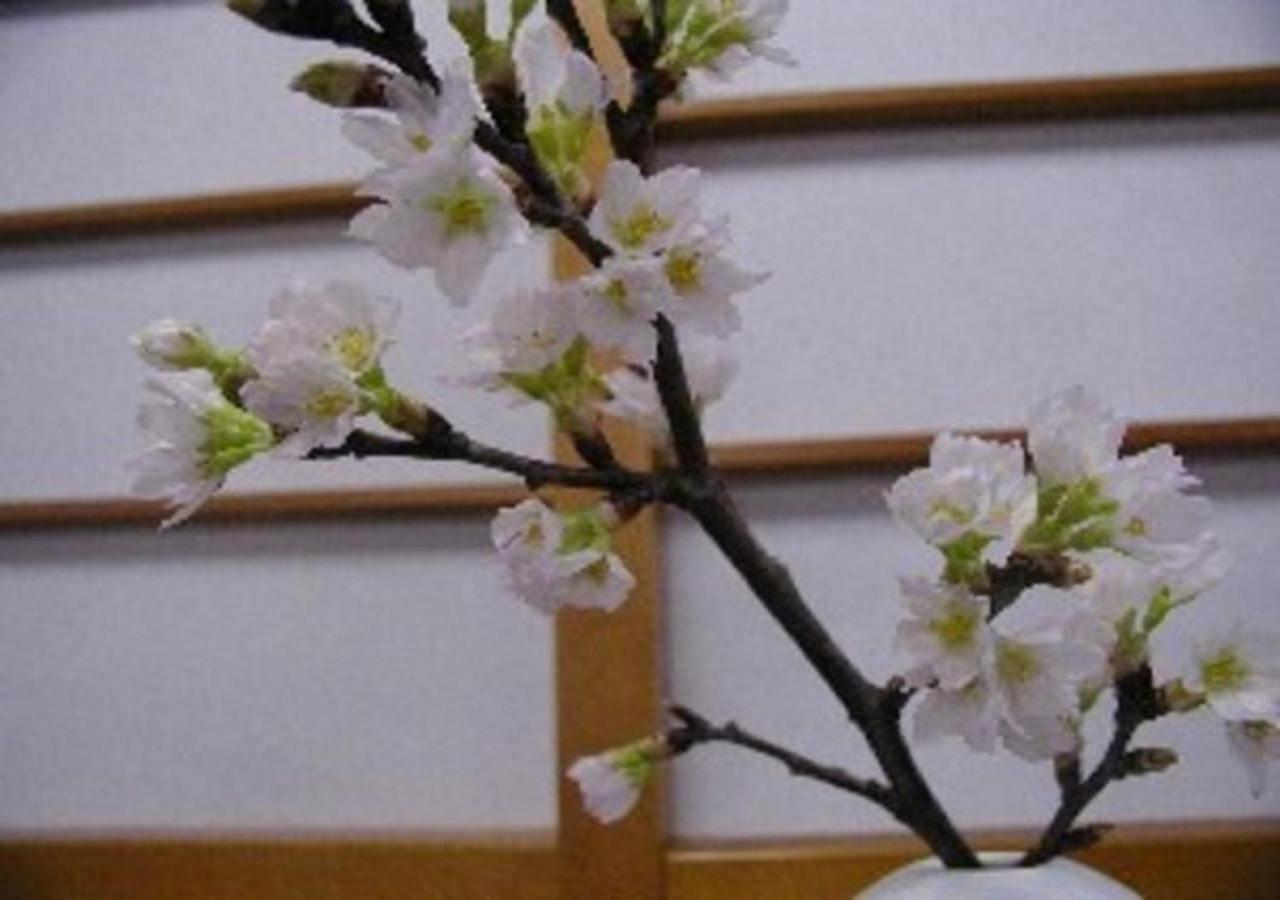 סקאטה Wakaba Ryokan / Vacation Stay 29370 מראה חיצוני תמונה